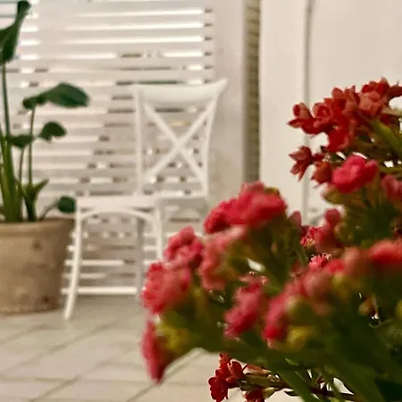 Mareluna Luxury * Lampedusa